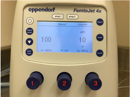 FemtoJetInterface