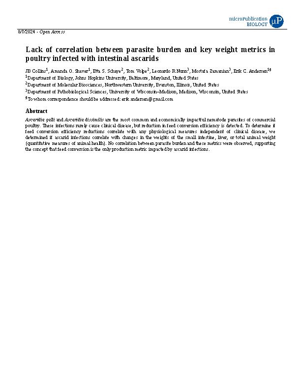 Collins et al. 2024 - Lack of correlation between parasite burden and key weight metrics in poultry infected with intestinal ascarids.jpeg